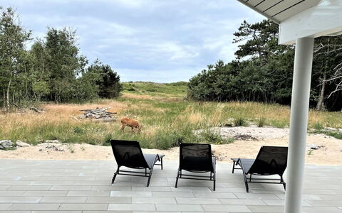 Jorn - 75M from the Sea: Casa, Tetto, Casa, Villetta, Capannone, Edifici Giardino, Raccordo, Cortile, Log Cabin, Capanna