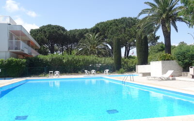 Saint-Tropez 515: Acqua, Pianta, Cielo, Piscina, Azzurro, Albero, Shade, Erba, Tempo Libero