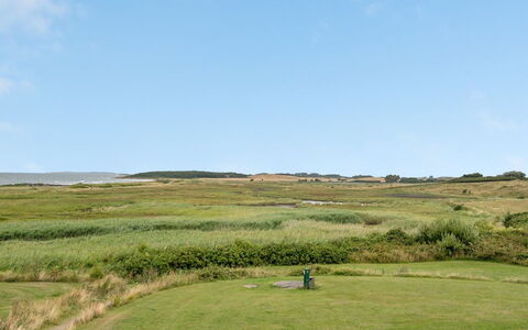 Asmund - 150M from the Sea: Erba, Pascolo, Ambiente Naturale, Ecoregione, Plain, Paesaggio, Pascolo, Lotto, Steppa, Prateria