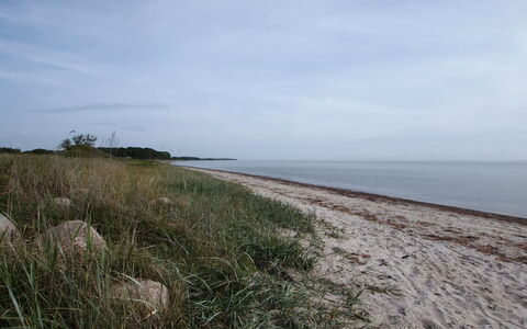 Joran - 120M from the Sea: Cielo, Costa, Spiaggia, Orizzonte, Costiera E Morfologie Oceanic, Riva, Mare, Estate, Ecoregione