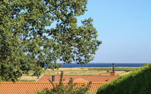 Roel - 500M from the Sea: Blu, Verde, Foglia, Plain, Lotto, Area Rurale, Mattina, Luce Del Sole, Woody Impianto, Shade