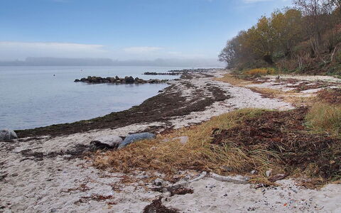 Majbritt - 50M from the Sea: Acqua, Corpo D'Acqua, Ambiente Naturale, Costa, Costiera E Morfologie Oceanic, Riva, Roccia, Mare, Banca, Spiaggia