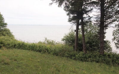 Pirjo - 50M from the Sea