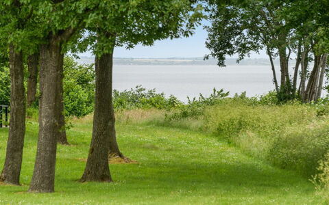 Ditte - 300M from the Sea: Verde, Erba, Ambiente Naturale, Foglia, Paesaggio Naturale, Vegetazione, Pascolo, Lotto, Plain, Tronco