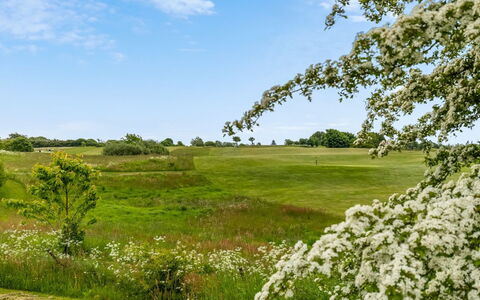 Ditte - 300M from the Sea: Cielo, Verde, Albero, Ambiente Naturale, Vegetazione, Paesaggio Naturale, Pascolo, Arbusto, Estate