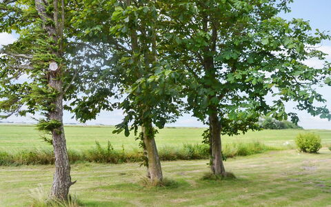 Juuso - 20Km from the Sea: Tetto, Casa, Casa, Villetta, Porta, Raccordo, Deck, Portico, Plank, Latifoglie