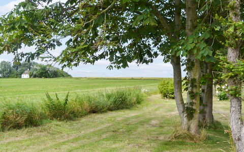 Juuso - 20Km from the Sea: Tetto, Casa, Casa, Villetta, Porta, Raccordo, Deck, Portico, Plank, Latifoglie