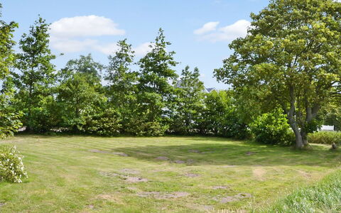 Juuso - 20Km from the Sea: Verde, Albero, Foglia, Ramo, Vegetazione, Arbusto, Pascolo, Comunita 'Impianto, Plain