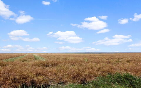 Skarpe: Erba, Pascolo, Paesaggio, Ecoregione, Plain, Comunita 'Impianto, Lotto, Mobili Da Esterno, Prateria, Shrubland