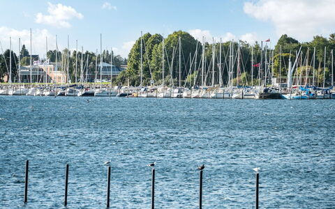 Joar - 5M to the Fjord: Blu, Acqua, Waterway, Barca, Marina, Moto D'Acqua, Albero, Canale, Lago, Porta
