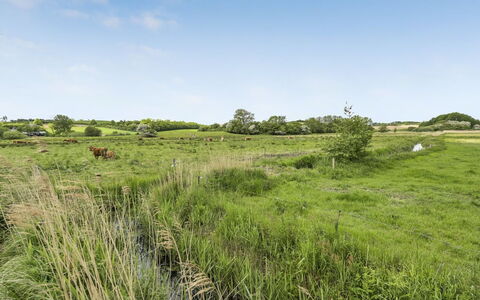Sigbritt - 100M from the Sea: Cielo, Erba, Pascolo, Ambiente Naturale, Verde, Ecoregione, Vegetazione, Paesaggio Naturale, Nube, Plain