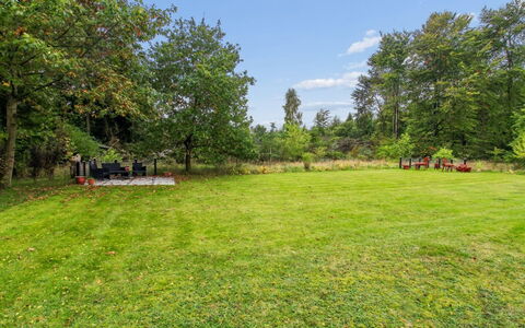 Arvi - 30Km from the Sea: Albero, Erba, Arbusto, Giardino, Lotto, Plain, Prato, Prato, Parco