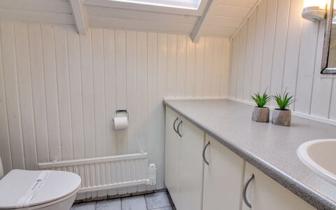 Sebiorn - 300M to the Fjord: Idraulico Fixture, Pavimentazione, Lavello, Bagno, Pavimento, Rubinetto, Interior Design, Idraulico, Lavandino Del Bagno, Mobiletto Del Bagno