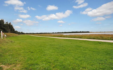 Sophia - 8Km from the Sea: 