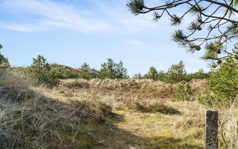 Eroll - 1.8Km from the Sea: Cielo, Blu, Erba, Ambiente Naturale, Vegetazione, Paesaggio Naturale, Pascolo, Ecoregione, Arbusto, Comunita 'Impianto