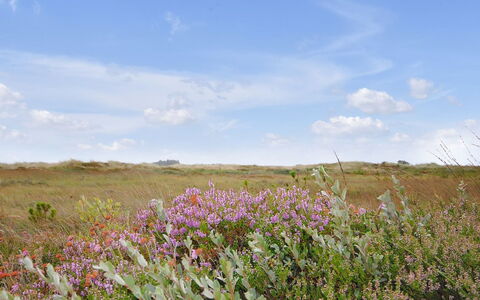 Margrethe - 1.1Km from the Sea: Zona Residenziale, Tetto, Sobborgo, Driveway, Estate, Camino