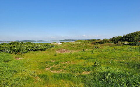 Eloise - 50M to the Fjord: Cielo, Blu, Verde, Erba, Pascolo, Vegetazione, Paesaggio Naturale, Nube, Orizzonte, Ecoregione