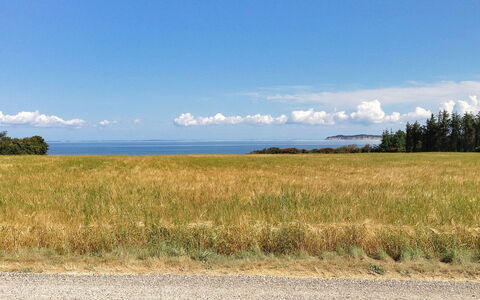 Kaleva - 200M to the Fjord: Blu, Erba, Nube, Orizzonte, Pascolo, Paesaggio Naturale, Plain, Ecoregione, Campo, Prateria