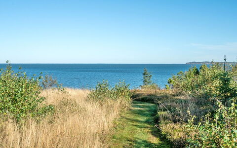 Thrine - 100M to the Fjord: Blu, Arbusto, Villetta, Groundcover, Giardino, Estate, Shade, Landscaping, Agriturismo, Eco Hotel
