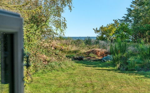 Thrine - 100M to the Fjord: Blu, Arbusto, Villetta, Groundcover, Giardino, Estate, Shade, Landscaping, Agriturismo, Eco Hotel