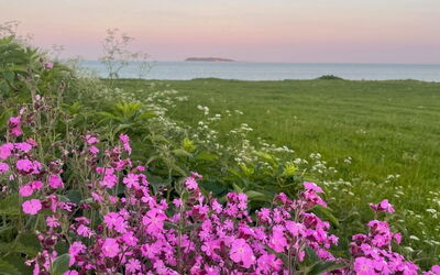 Lilla - 120M from the Sea