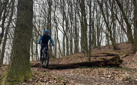 Eva - 1.5Km to the Fjord: Bicycle Wheel, Bicicletta, Albero, Ruota