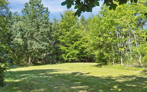 Teodora - 450M from the Sea: Arbusto, Villetta, Casa, Shade, Groundcover, Giardino, Cortile, Backyard, Edifici Giardino, Prato