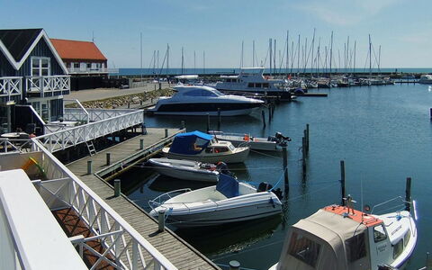 Knud - 2M from the Sea: Tetto, Casa, Lotto, Casa, Villetta, Estate, Edifici Giardino, Shade, Log Cabin, Landscaping