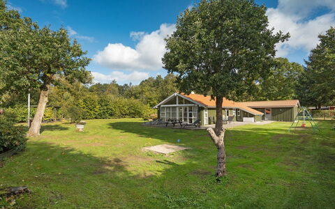 Hermand - 700M from the Sea: Erba, Albero, Casa, Casa, Arbusto, Villetta, Lotto, Area Rurale, Estate