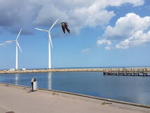 Golubinka - 500M from the Sea