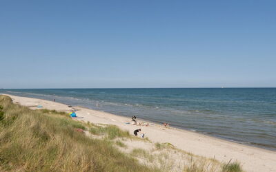 Sheyla - 150M from the Sea