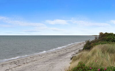 Berndt - 50M from the Sea