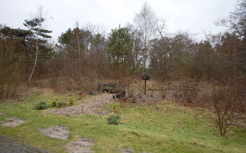 Runhild - 100M from the Sea: Arbusto, Lotto, Suolo, Trail, Woodland, Sentiero