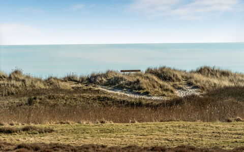 Jyrki - 100M from the Sea: Erba, Ecoregione, Orizzonte, Pascolo, Mare, Comunita 'Impianto, Costiera E Morfologie Oceanic, Plain, Costa, Steppa