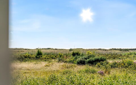 Mumme - 100M from the Sea: Cielo, Blu, Giorno, Verde, Erba, Ambiente Naturale, Pascolo, Vegetazione, Ecoregione, Paesaggio Naturale