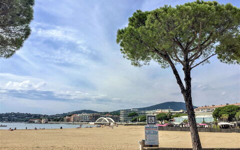 Les Embruns: Albero, Casa, Villetta, Casa, Area Rurale, Paesaggio, Collina, Lotto, Hill Station