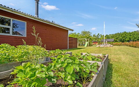 Mina - 1.4Km from the Sea: Verde, Arbusto, Lotto, Giardino, Groundcover, Landscaping, Suolo, Edifici Giardino, Cortile, Piantagione