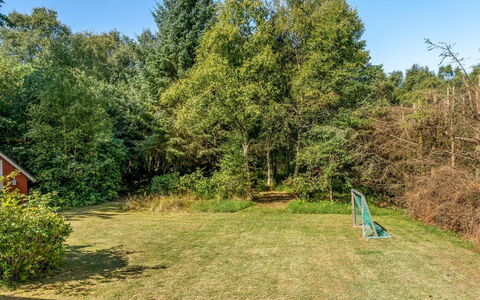 Ane - 1.7Km from the Sea: Erba, Foglia, Arbusto, Lotto, Giardino, Groundcover, Prato, Luce Del Sole, Shade