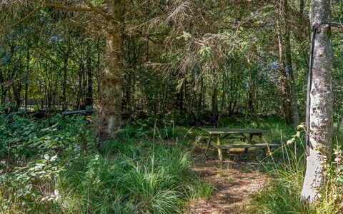 Ane - 1.7Km from the Sea: Erba, Pascolo, Paesaggio, Ecoregione, Plain, Comunita 'Impianto, Lotto, Mobili Da Esterno, Prateria, Shrubland