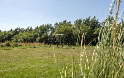 Richard - 4Km from the Sea: Erba, Pascolo, Paesaggio, Ecoregione, Plain, Comunita 'Impianto, Lotto, Mobili Da Esterno, Prateria, Shrubland