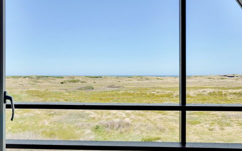Viona - 350M from the Sea: Blu, Luce Del Sole, Mare, Oceano, Costa, Bicchiere, Steppa, Illuminazione Diurna, Prateria
