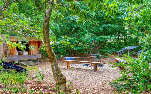 Adam - from the Sea: Albero, Natura, Ambiente Naturale, Foglia, Legna, Foresta, Comunita 'Impianto, Woodland, Riserva Naturale