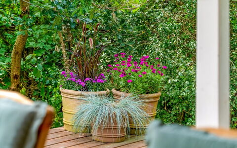 Adam - from the Sea: Verde, Vaso Di Fiori, Arbusto, Giardino, Primavera, Pianta Della Casa, Color Legno, Latifoglie, Plank