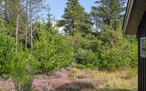 Asmo - 350M from the Sea: Blu, Arbusto, Villetta, Groundcover, Giardino, Estate, Shade, Landscaping, Agriturismo, Eco Hotel