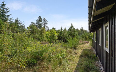Asmo - 350M from the Sea: Blu, Arbusto, Villetta, Groundcover, Giardino, Estate, Shade, Landscaping, Agriturismo, Eco Hotel