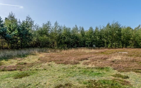 Jurgis - 300M from the Sea: Zona Residenziale, Arbusto, Casa, Casa, Giardino, Estate, Shade, Landscaping, Prato