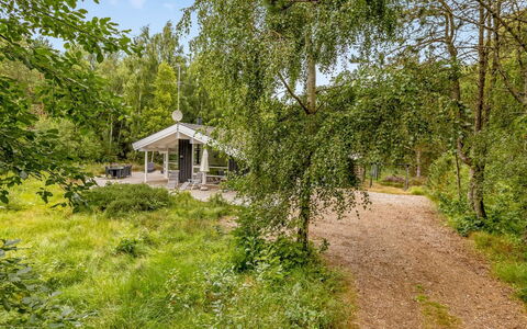 Ran - 600M from the Sea: Albero, Ramo, Vegetazione, Arbusto, Primavera, Woodland, Tronco, Giardino, Trail, Edifici Giardino