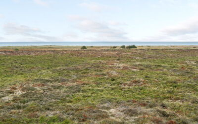 Matta - 800M from the Sea