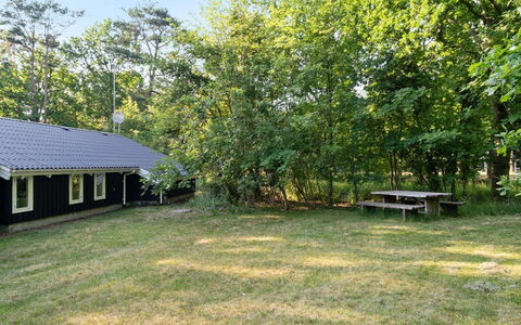 Lovis - 600M from the Sea: Erba, Albero, Lotto, Area Rurale, Shade, Giardino, Groundcover, Prato, Villetta, Backyard