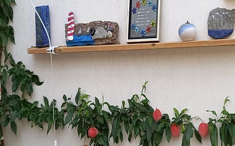 Hartvig - 800M from the Sea: Frutta, Produrre, Natural Foods, Cibo, Vaso Di Fiori, Pianta Della Casa, Rose Di Famiglia, Superfood